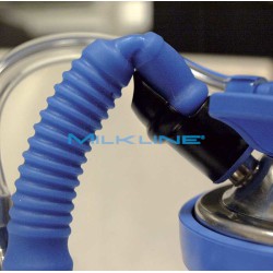 CRAVATTA X GUAINA NTA