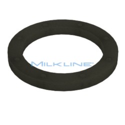 GASKET FOR S/S FILTER BUSHING IP