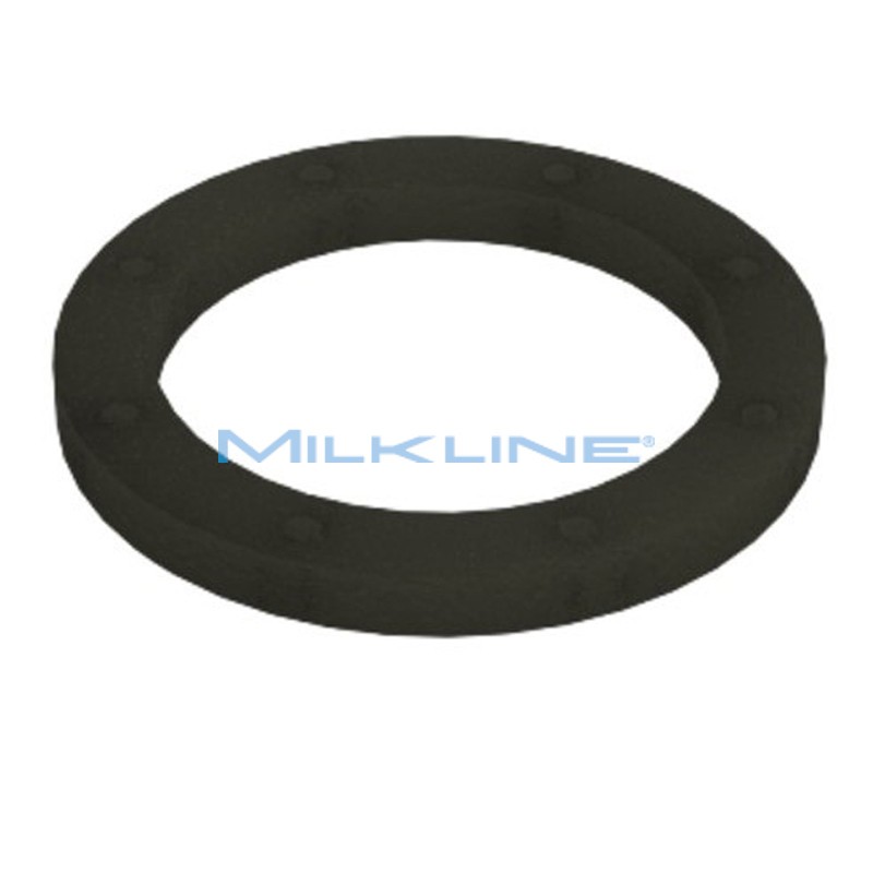 GASKET FOR S/S FILTER BUSHING IP