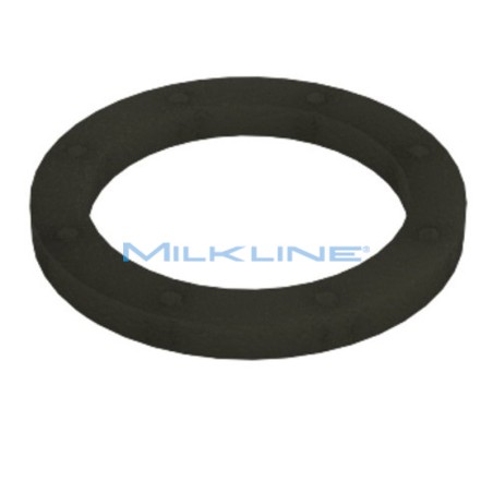 GASKET FOR S/S FILTER BUSHING IP