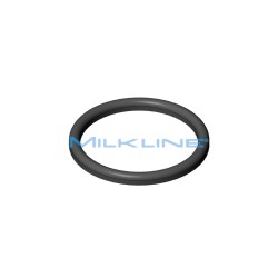 SEAL RING FOR S/S UNION DN 25