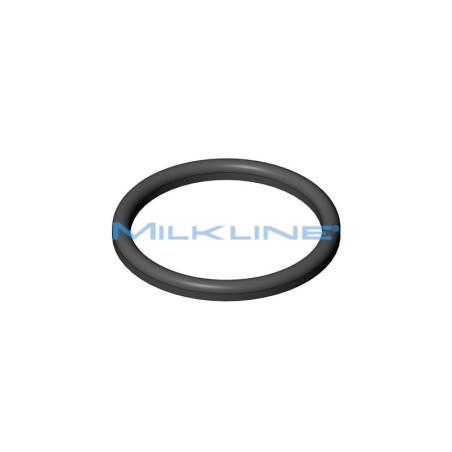 SEAL RING FOR S/S UNION DN 25