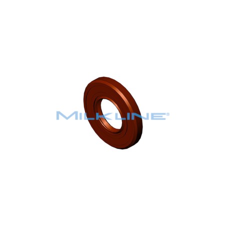 TIGHT RING VITON 25-52-7 TC