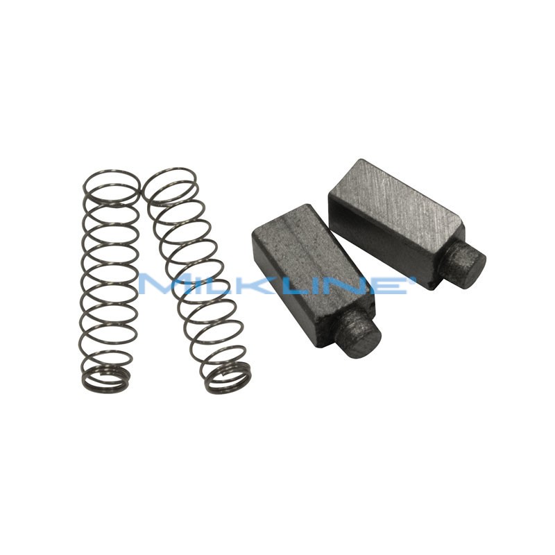 SET 2 CARBONCINI CON MOLLA