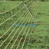 NET FOR RABBITS AND SMALL ANIMALS 50CM 1P 50M