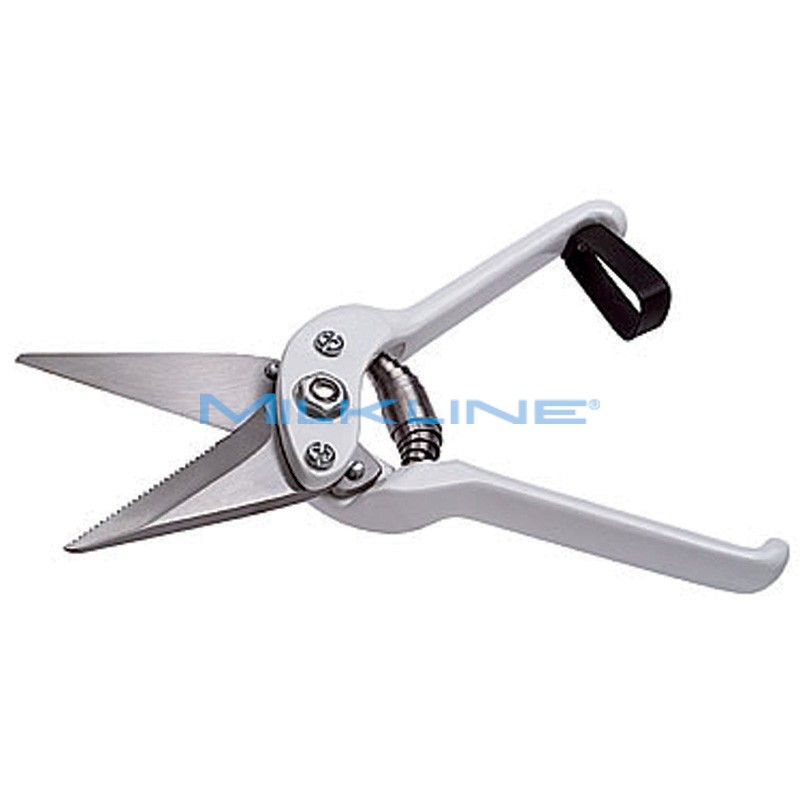 SHEEP HOOF CUT/6CM/SERRATED