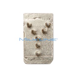 LETTERA Y 10MM X PINZA TATUAGGI