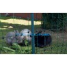 NET FOR RABBITS AND SMALL ANIMALS 50CM 1P 50M
