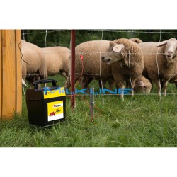 HOTSHOCK ABN37 - 9/12/230 V