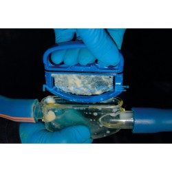 MASTITIS INDICATOR VISION 2000