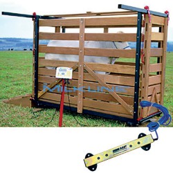 ELET. WEIGHT INDICATOR EC2000 W/BATT