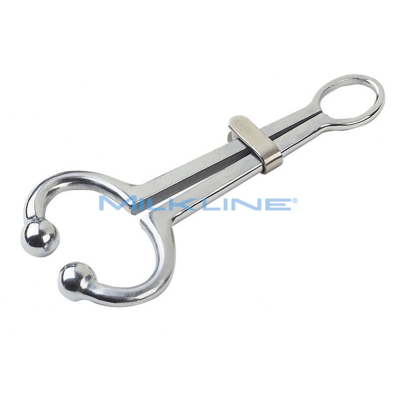 MORDECCHIA INOX MOD. HARMS E