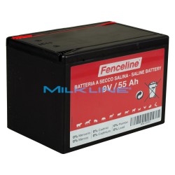 BATTERIA SALINA 9V-55Ah