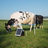 FARMER AN1000 SOLAR - 12V/230V