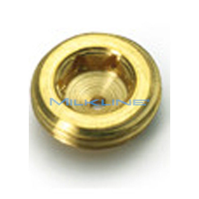 TAPPO OTTONE F.2 MM. X ABB.1/2" SUINETTI