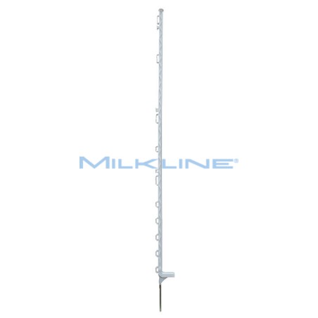 SET 10 PICCHETTI MULTIBANDA PL H169/150