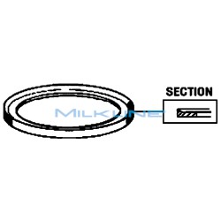 GUARNIZIONE COP. MELOTTE VERDE