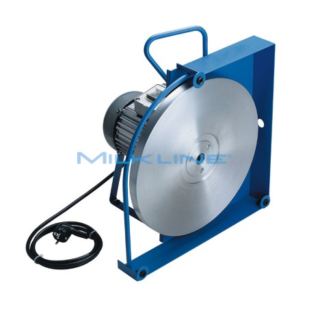 AFFILATORE PROF.BOV/EQU/OV-CANE 600W D350MM