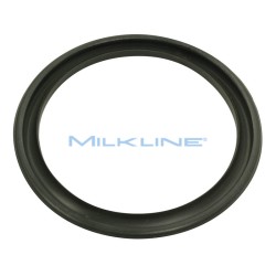 BODY GASKET PUMP 4100