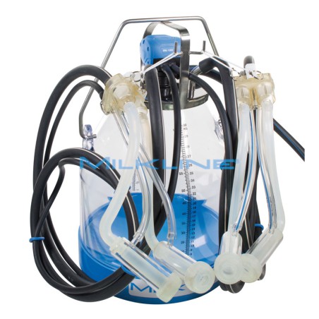 MILKING BUCKET GOAT PASTORE/I P30