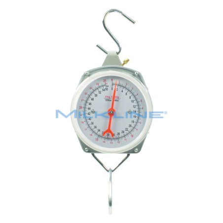 BILANCIA KG25-100GR.