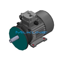 MOTORE ELETT.FL.KW0,55 4P 230V SECCO/OLIO