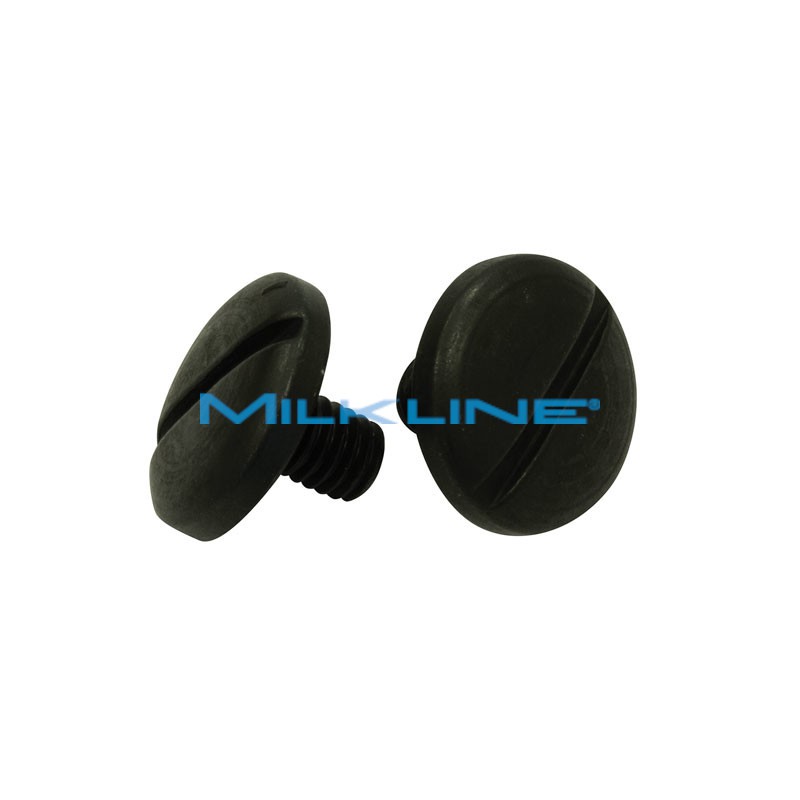 SET 2 VITI FISSAGGIO PETTINE