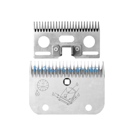 SET PETT+COL A/7 BOVINI