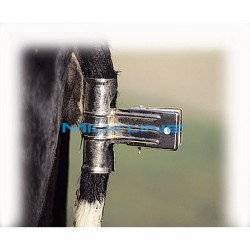 GALVANISED TAIL BRIDLE