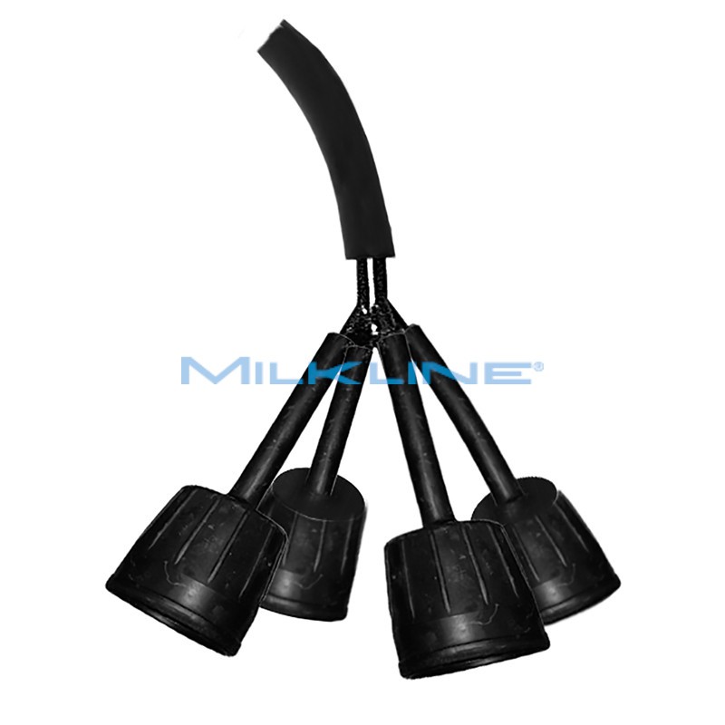 ECONOMIC WASHING STATION WG COMP