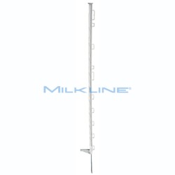 BANCALE DI 112 SET DA 10 PICCH. BIANCHI 102CM