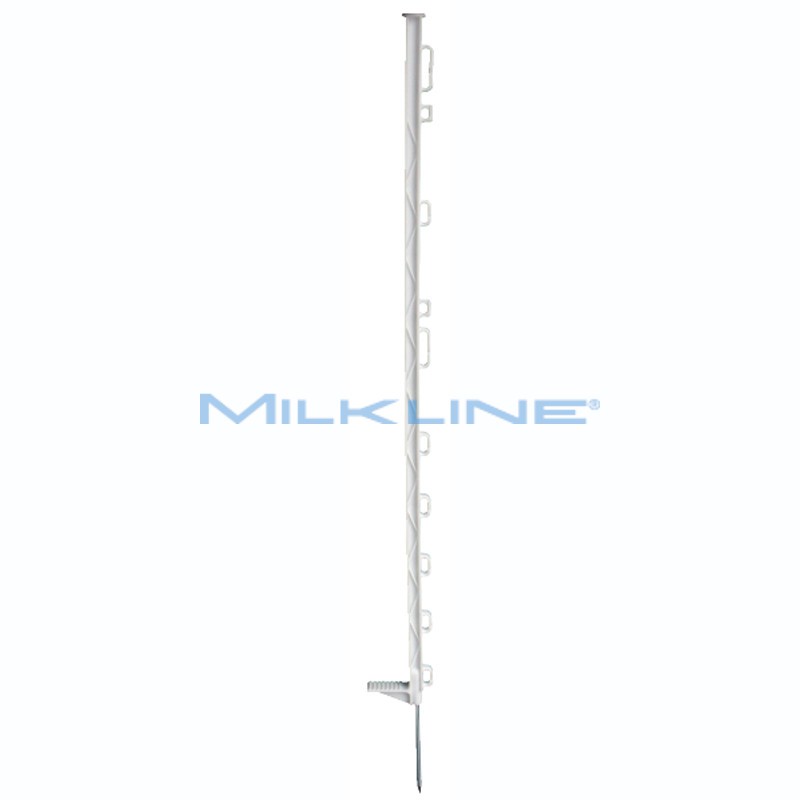 BANCALE DI 112 SET DA 10 PICCH. BIANCHI 102CM