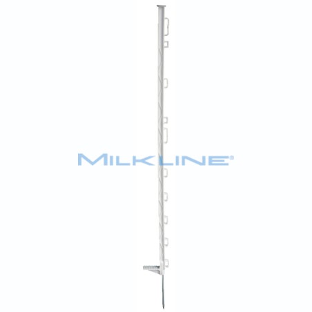 BANCALE DI 112 SET DA 10 PICCH. BIANCHI 102CM