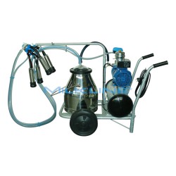 MINI 1 190 1G N/I 1124 S/S25