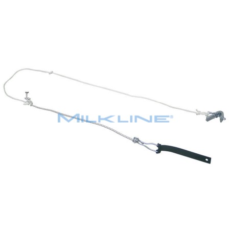 FERMACODA A CORDA TED