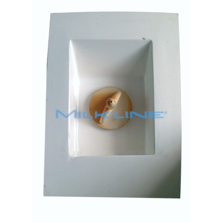 KIT COMPLETO VITELLI A 1 SUCCHIOTTO