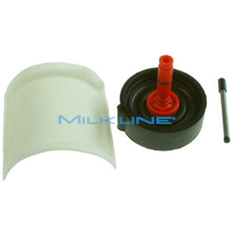 DIRECTIONAL VALVE KIT FOR TEAT.+JETSTREAM