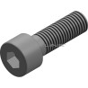 ALLEN SCREW FOR MILK PUMP ML KW0,55-0,75