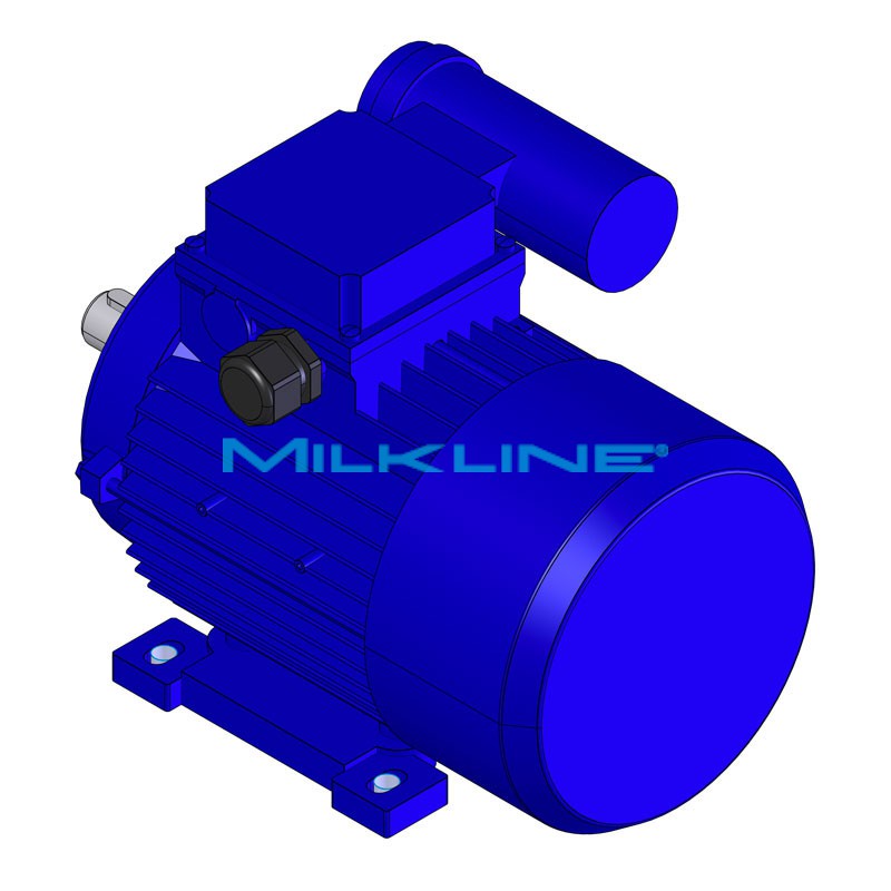 MOTORE KW1,5 4P 230V B3