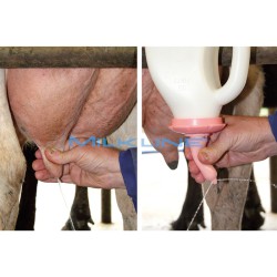 TETTARELLA GOMMA SKE X BOTTIGLIA BIBERON