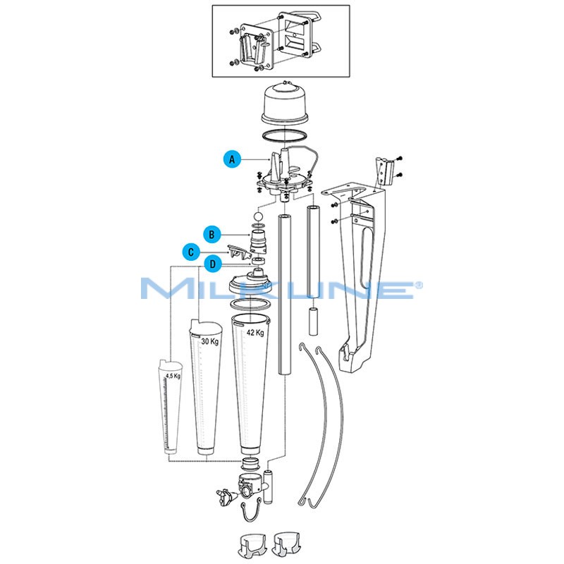 CORPO INTERNO COMPL X COPPETTA WK