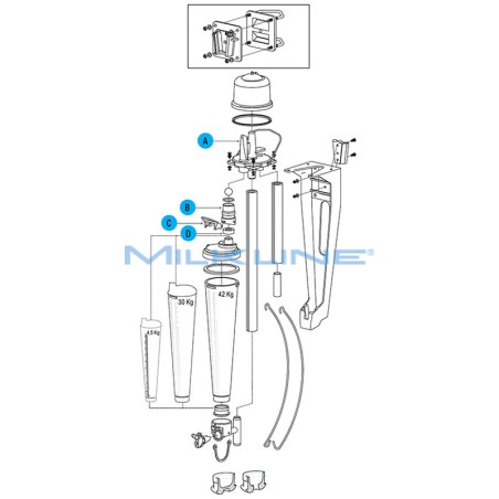 CORPO INTERNO COMPL X COPPETTA WK