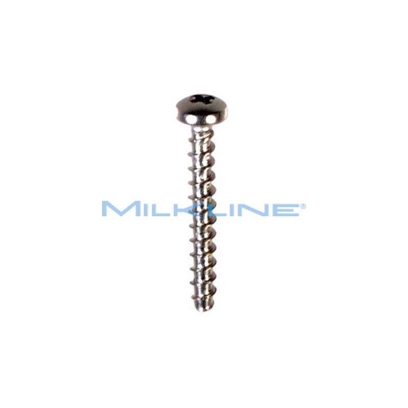 SCREW FOR PLATE DOWEL PULS.L80/L90/ML120