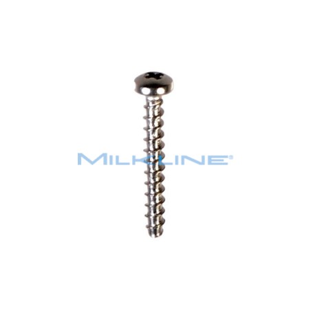 SCREW FOR PLATE DOWEL PULS.L80/L90/ML120