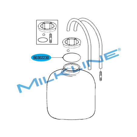 GASKET FOR QUARTER MILKER TED