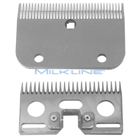 SET PETT+COL A/22 C EQUINI T/PRECISIONE