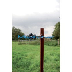 SET 25 ISOL NERI ROTONDI VITE FERRO