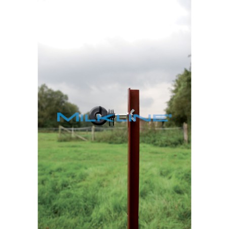 SET 25 ISOL NERI ROTONDI VITE FERRO