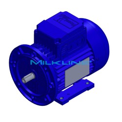 MOTOR KW0,55 2P 230/400V B3B5