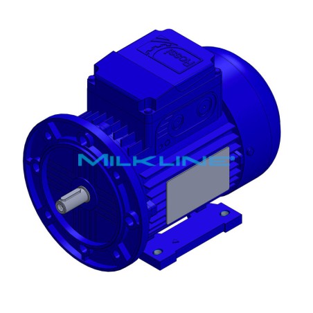 MOTORE KW0,55 2P 230/400V B3B5